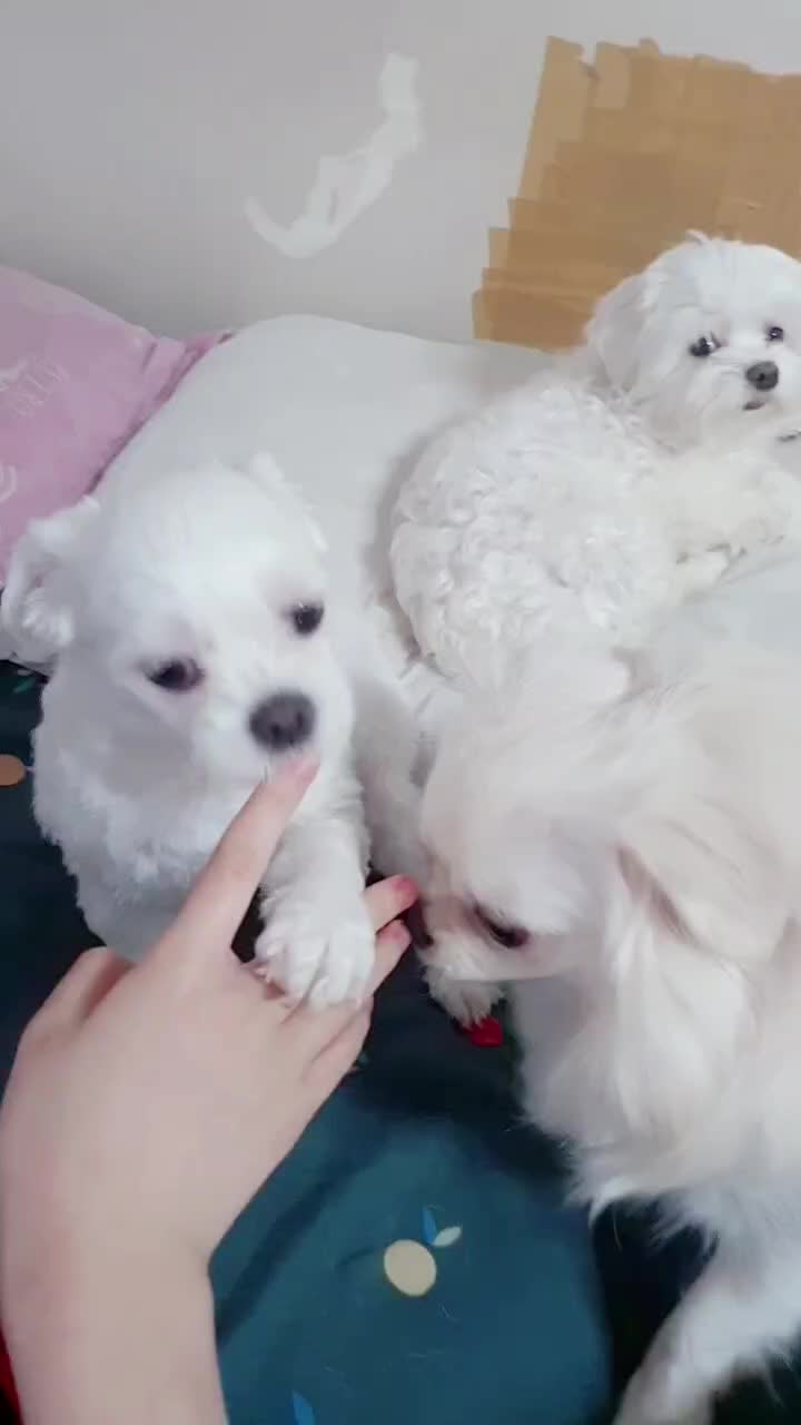 @๋ง์ค
