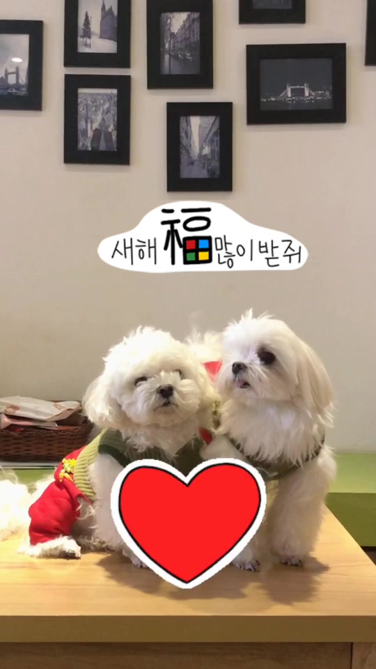 @또꾸네