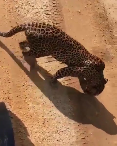 @Sri Lanka