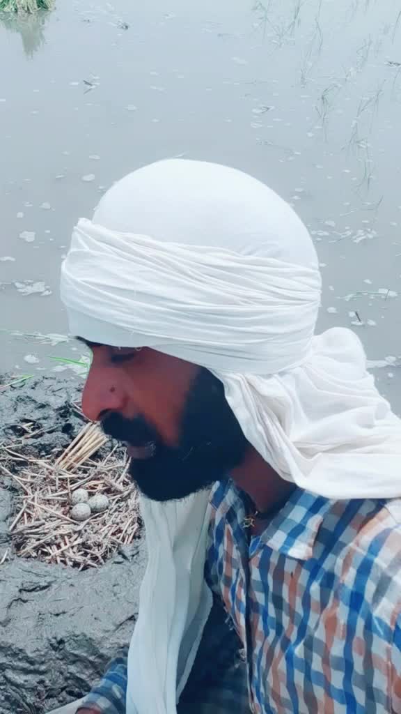@Satnam Gill