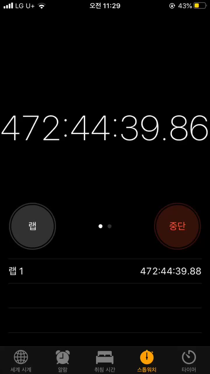 @홍가은