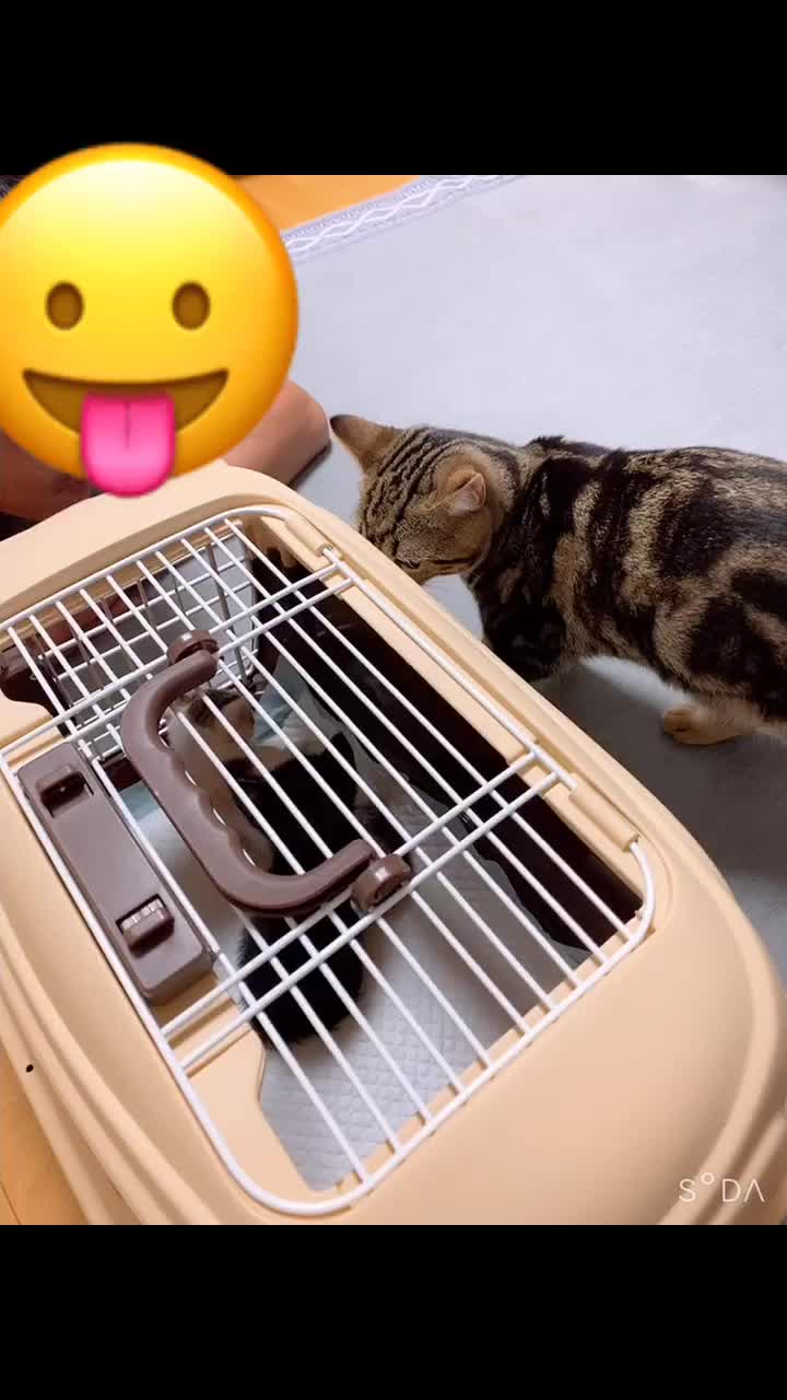 @𝕐＆𝕐