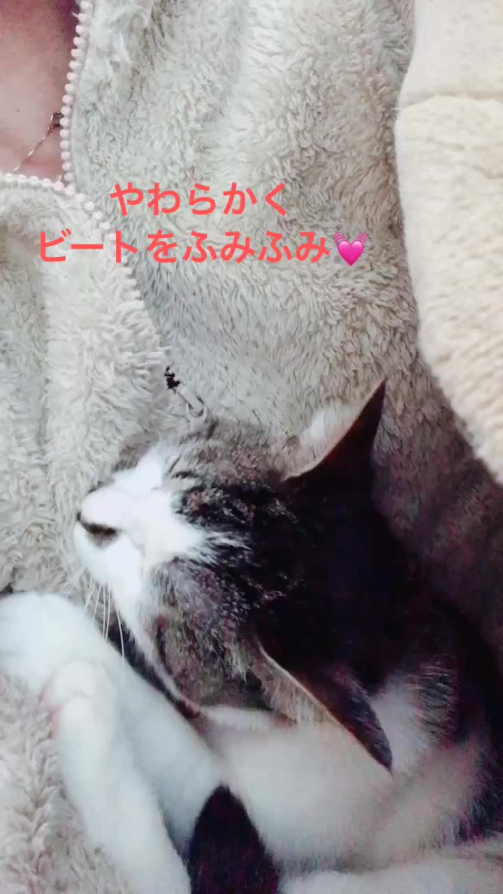 @rinyumi