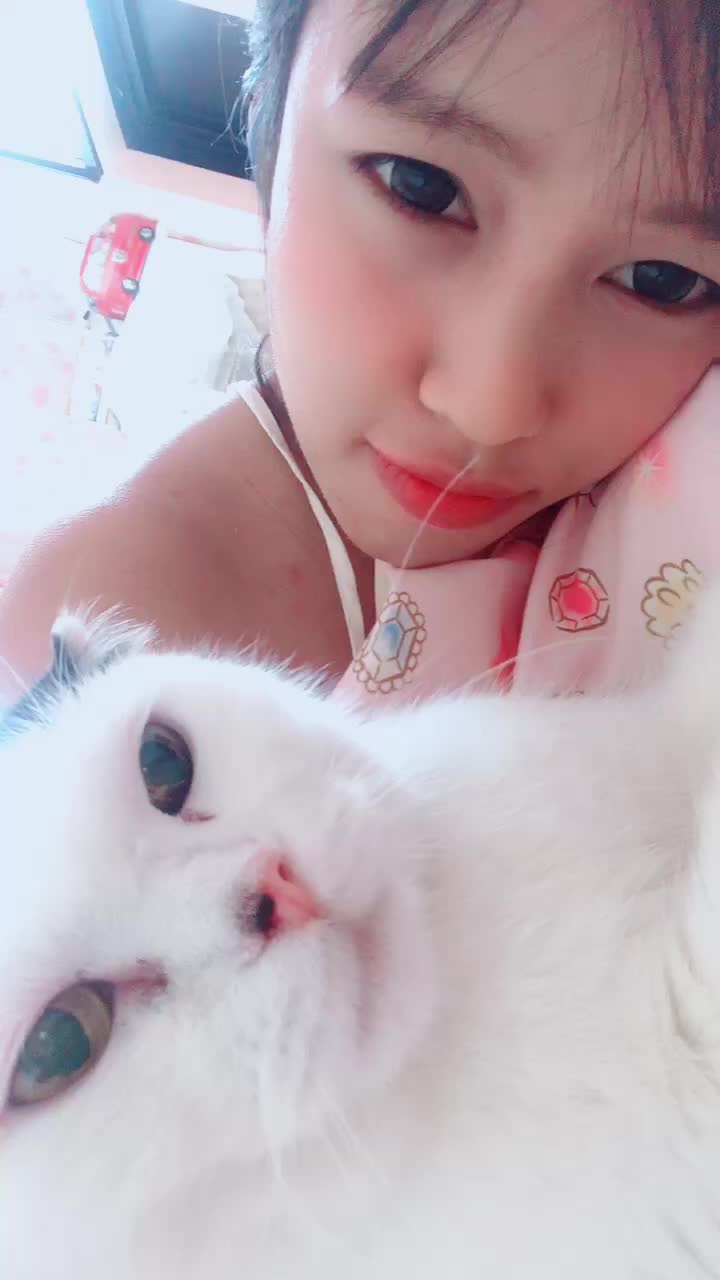 @あのねパムパム🦖🐾🐱💕