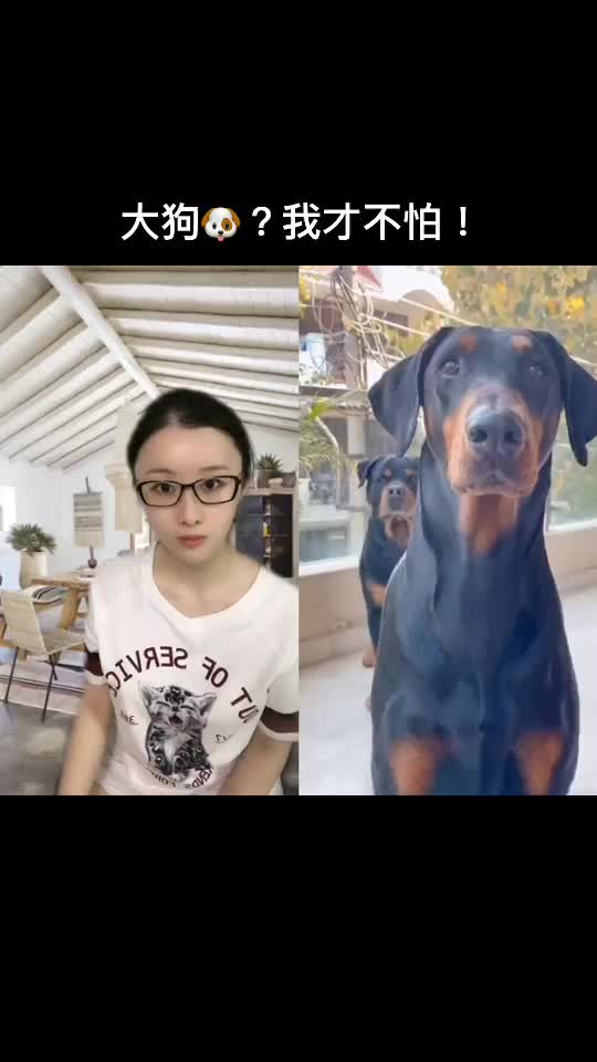@工藤佑采Yutori 🇭🇰🇯🇵