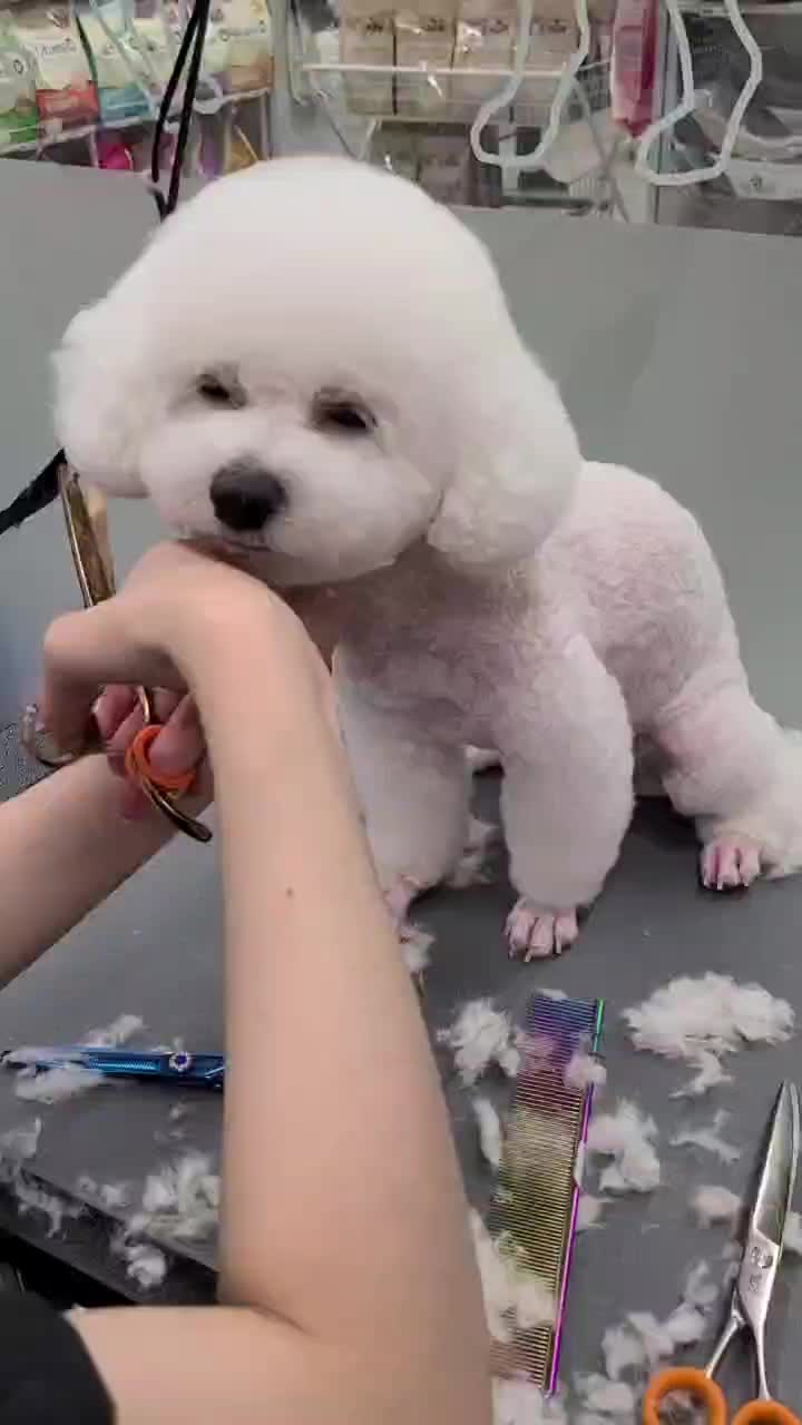 @kkangchu