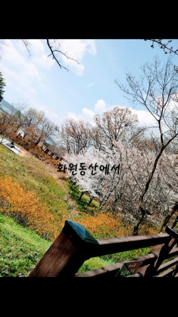 @๐Dana๐์์ค♥ํธ์์ด์ค