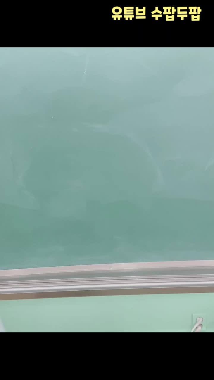 @suessam