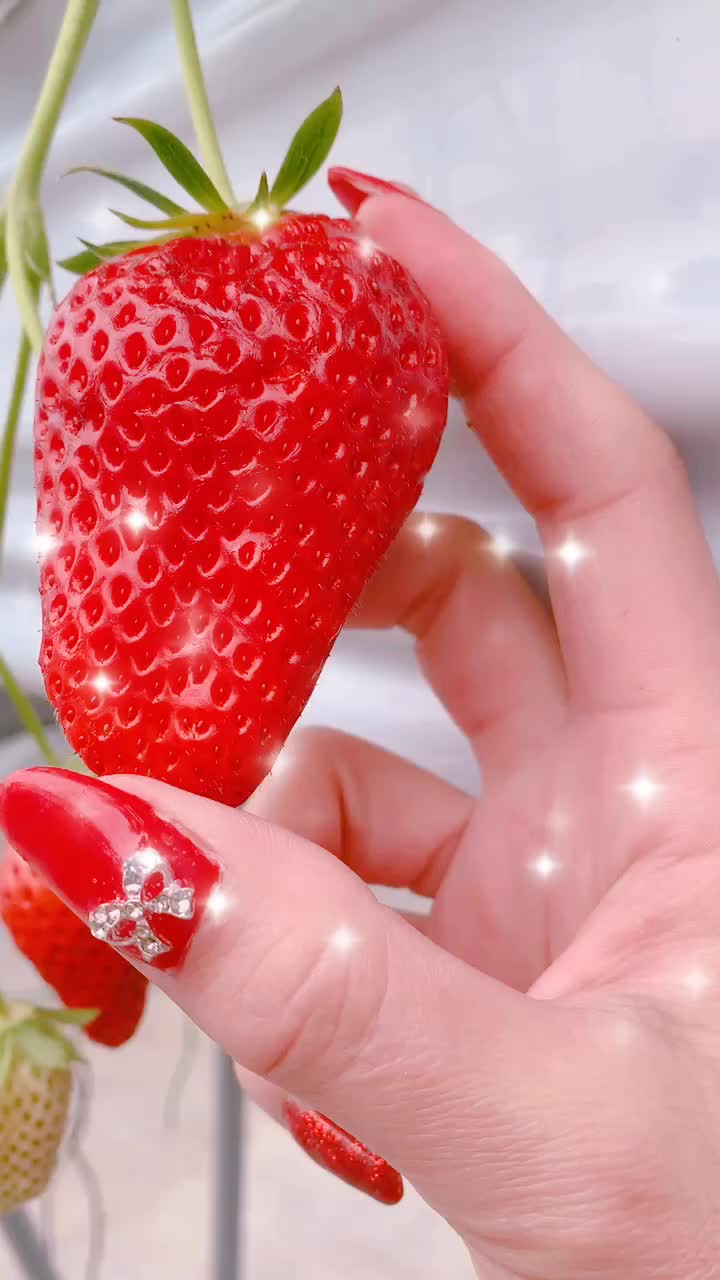 @🌹🌹HAーーii🌹🌹
