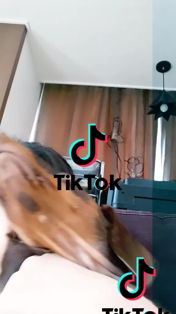 @판다tv