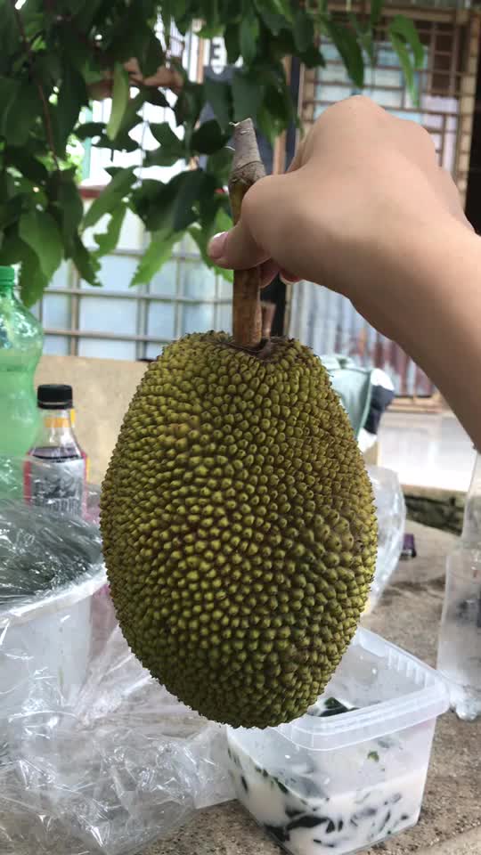 @NHUM ĐÂY NÈ