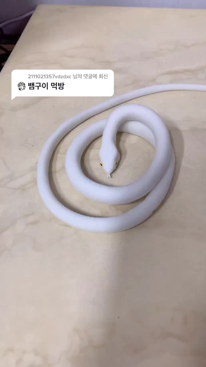 @Jo쥐bush💪진Jin