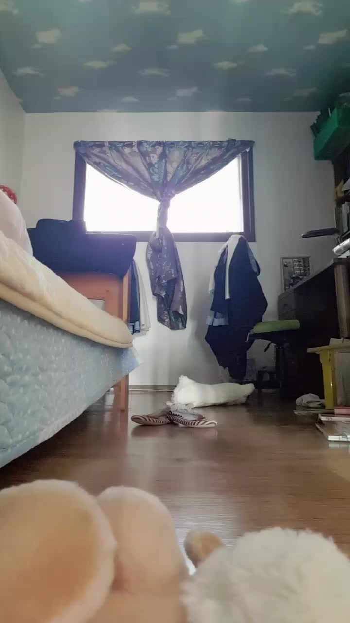@단풍나무