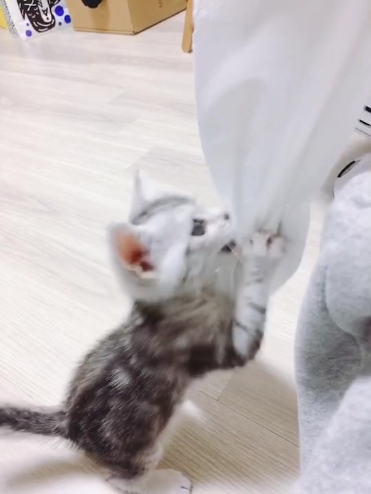 @이리