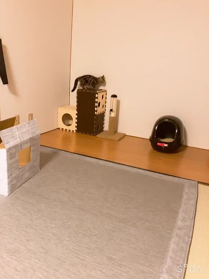 @𝕐&𝕐