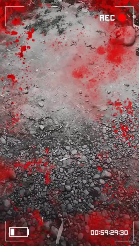 @Claire Marzo 798