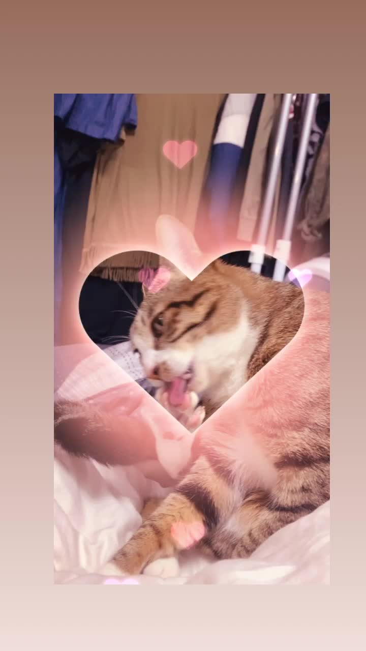 @蘇熙