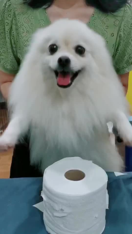 @YY-BPom Family