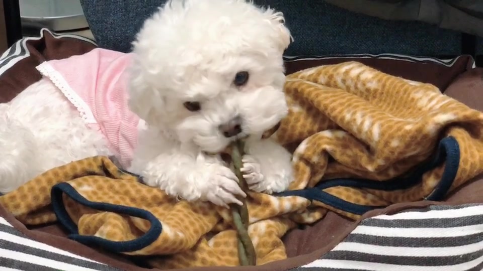 @또꾸네