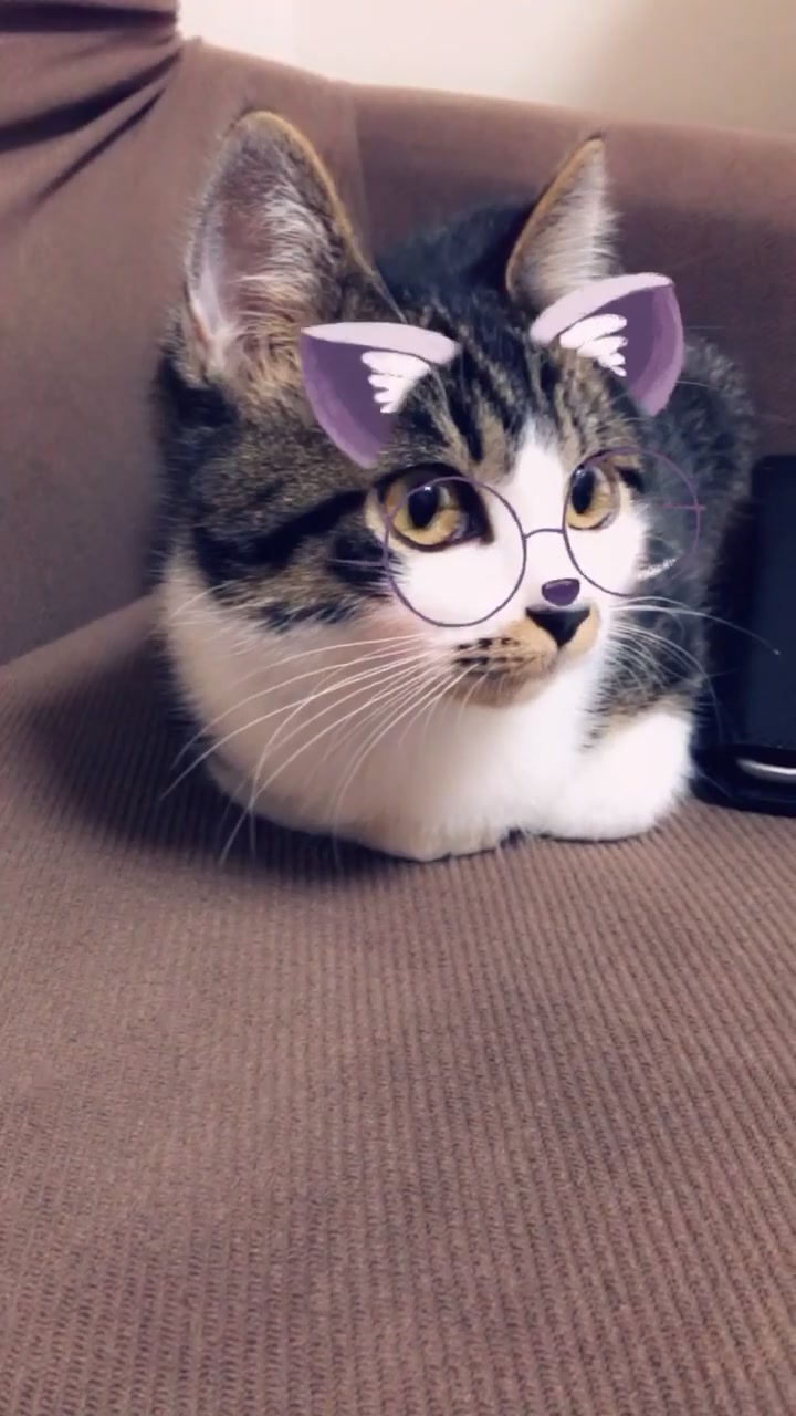 @°ส๐ฉตษ°