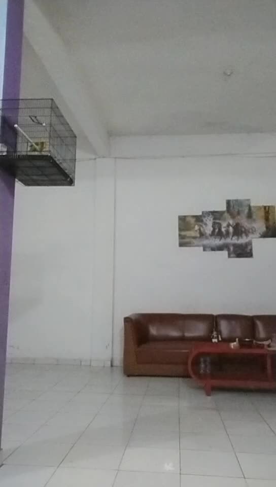 @user3066721987009