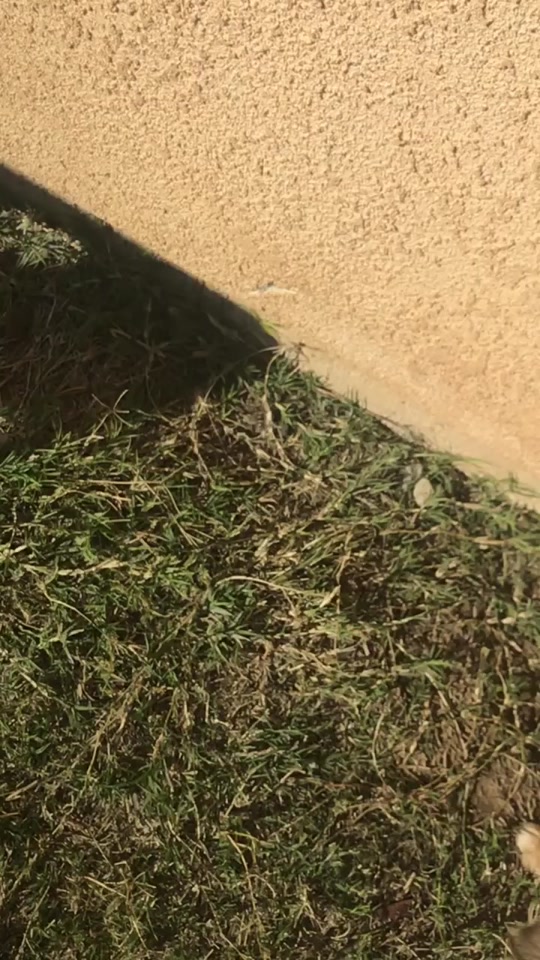 @𝐛𝐞𝚈𝙾𝚄𝐭𝐢𝐟𝐮𝐥