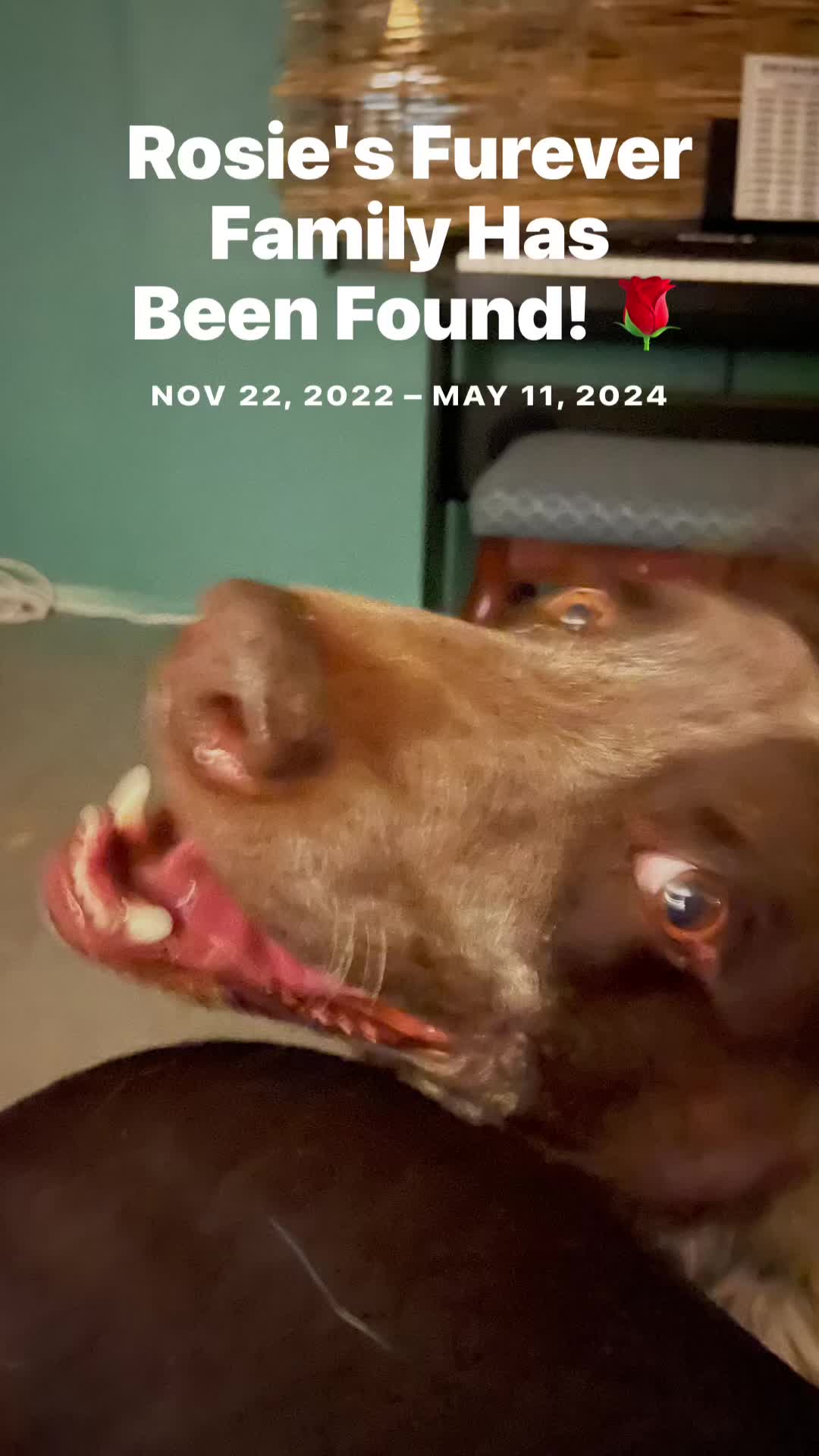 @GypsyJungle