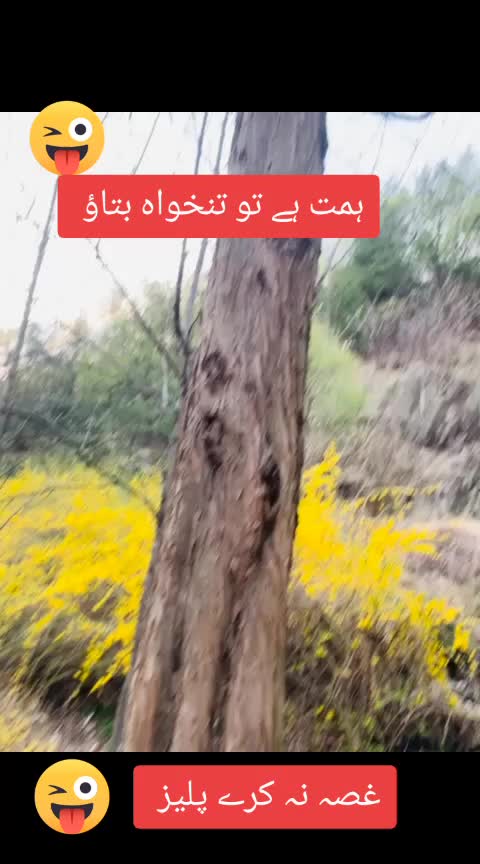 @jani jani