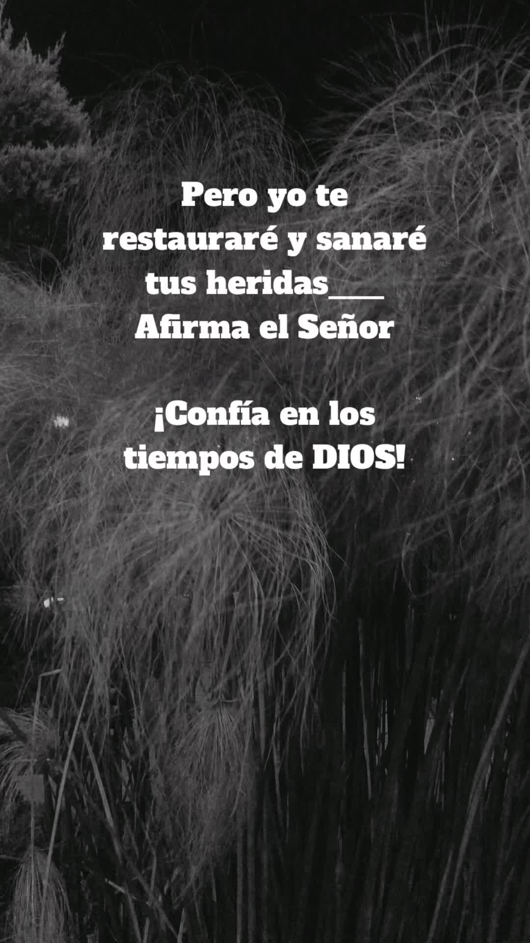 @🌕🪷Escritos para ti✨