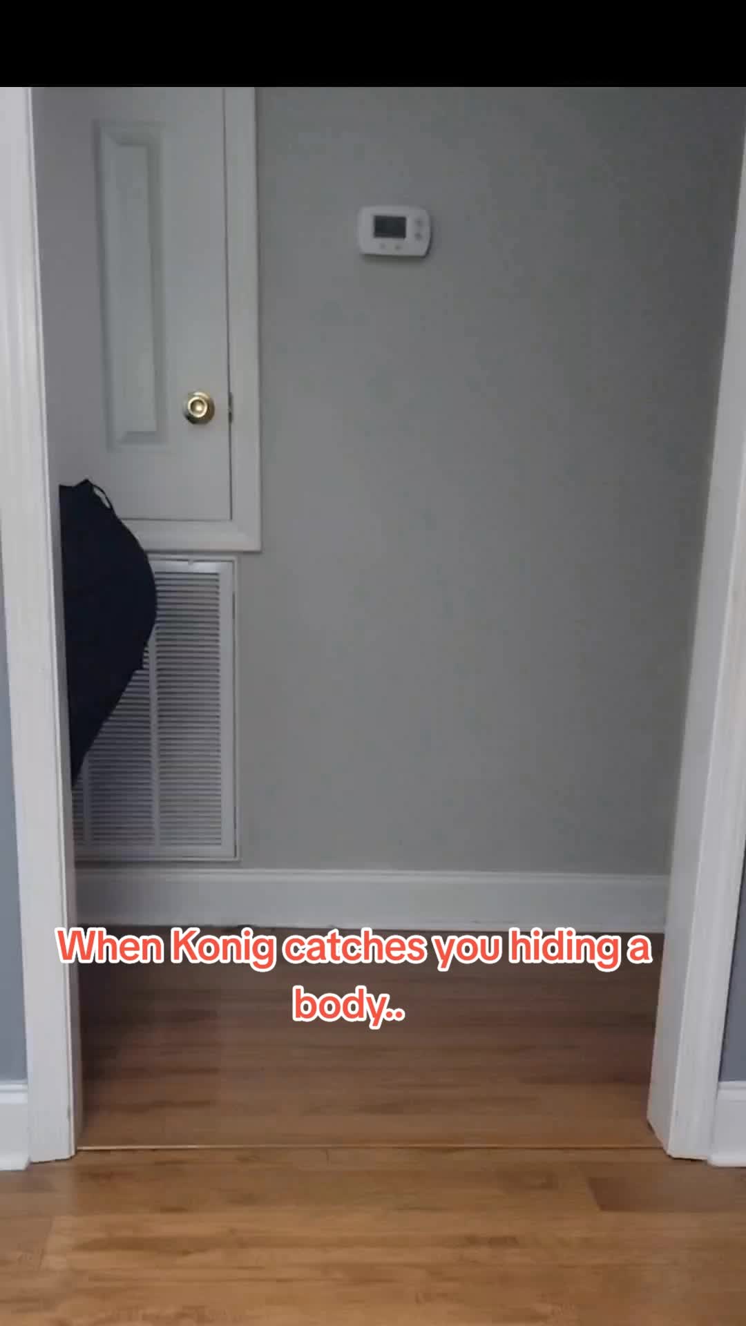 @Rogue