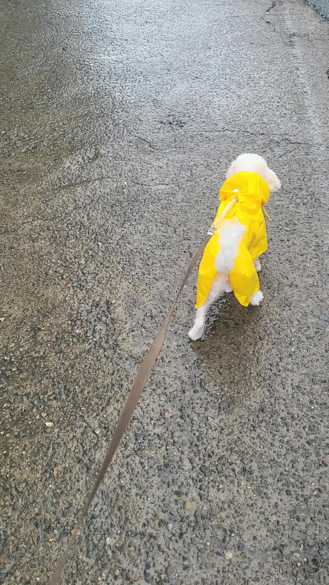 @지콩