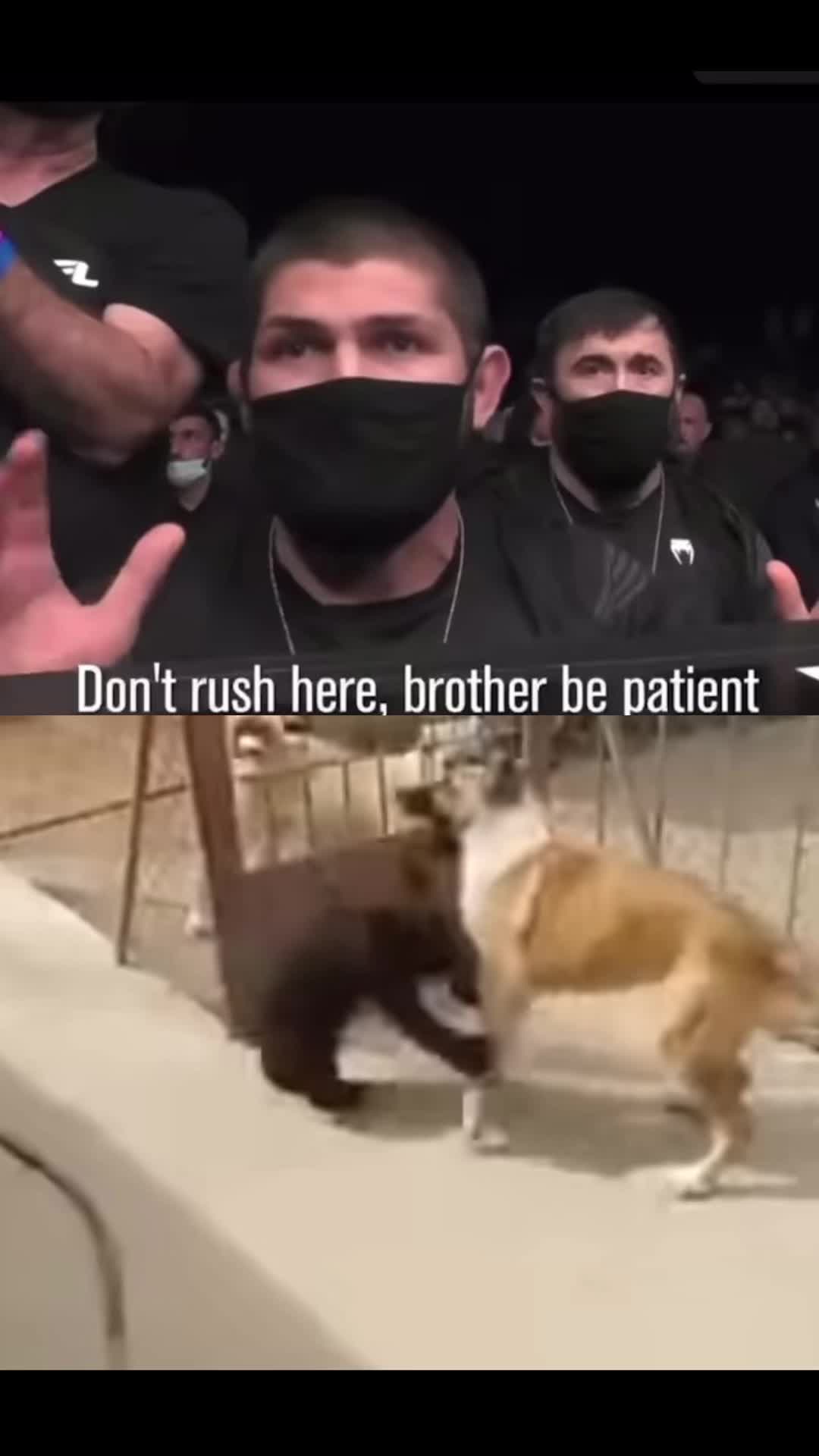 @greco.roman.fight