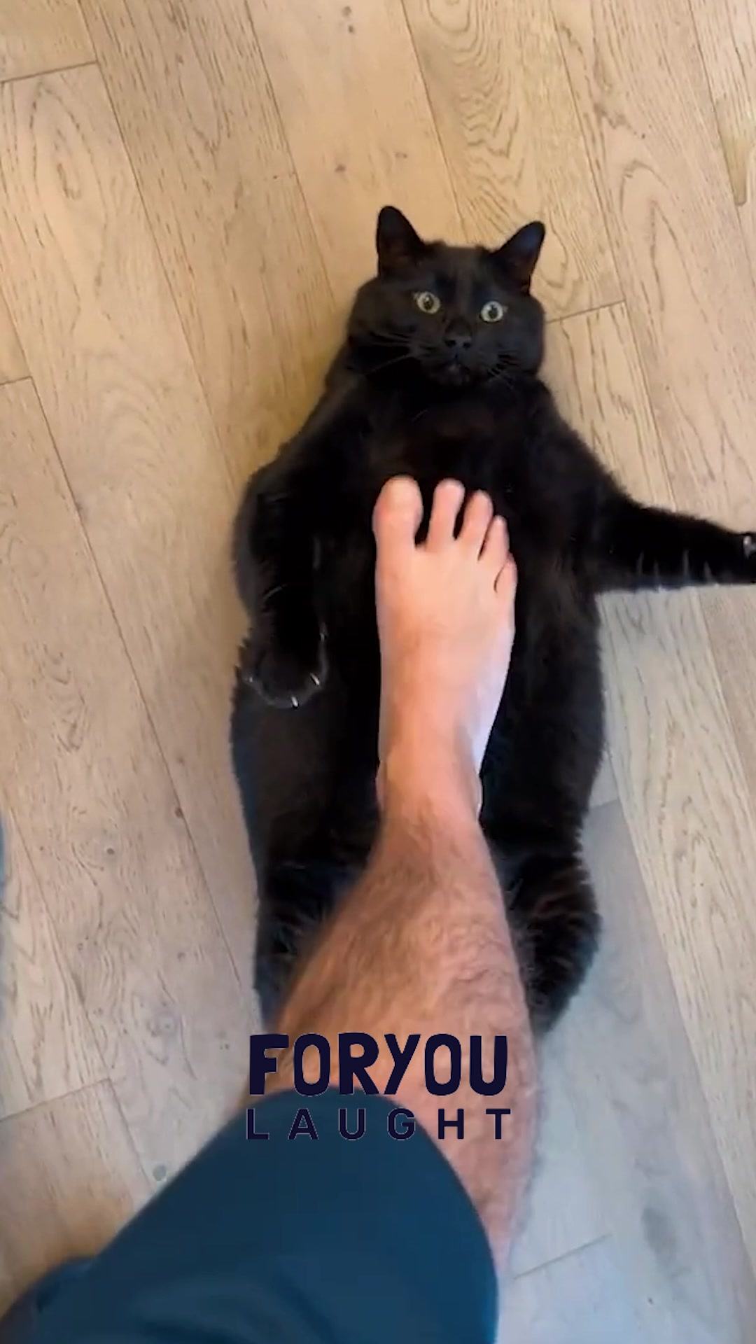 @Funny