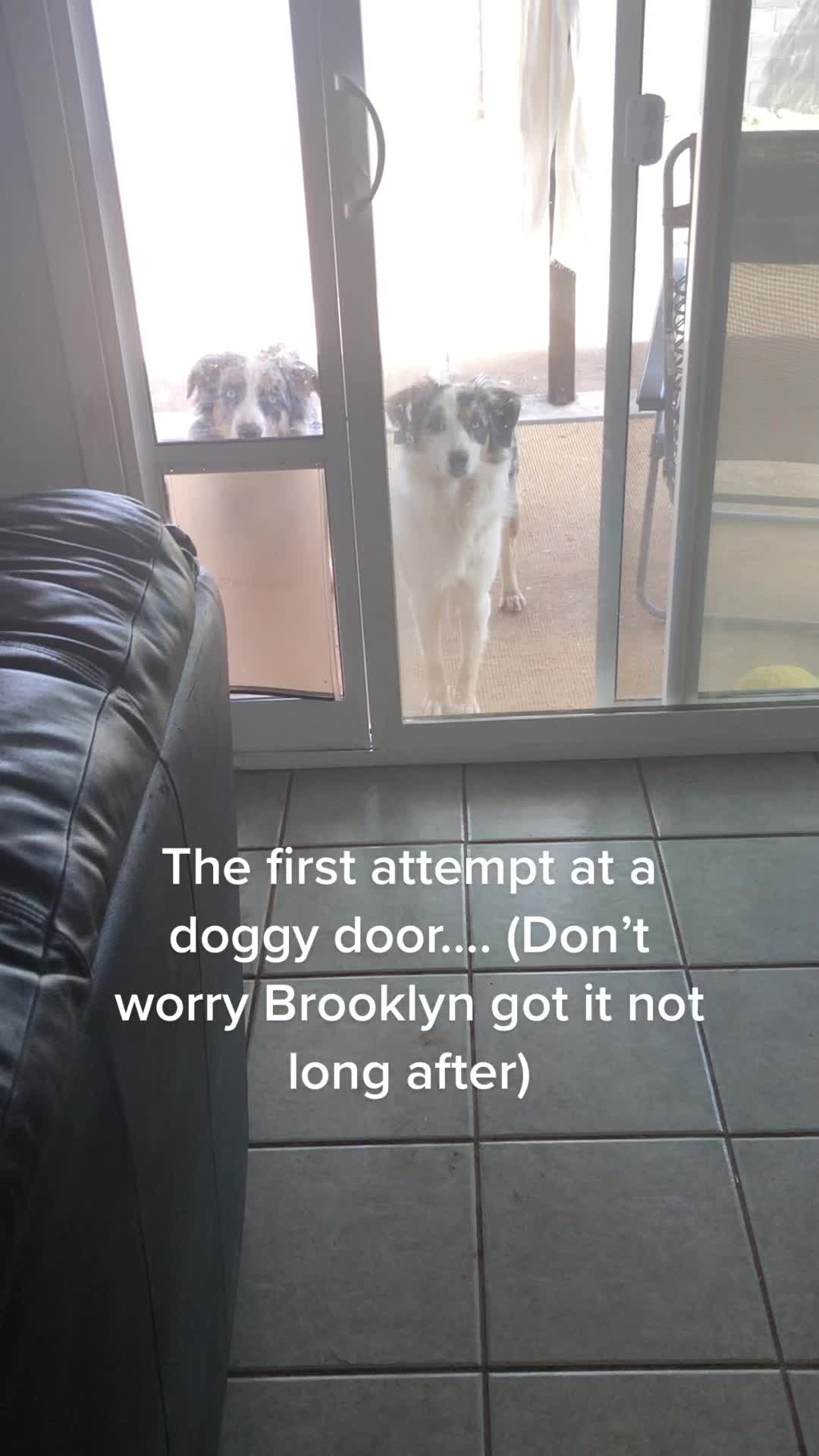 @seeingdoublemerle