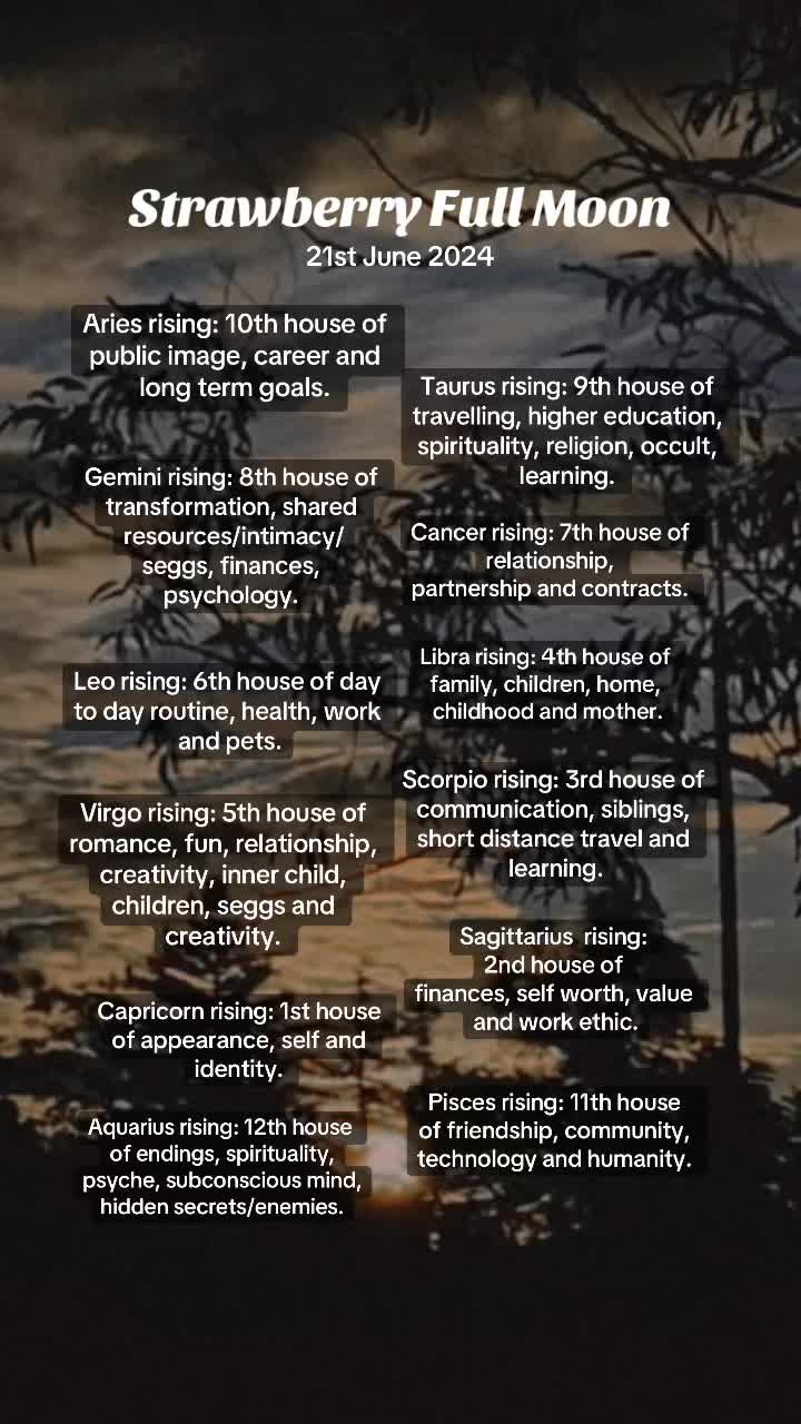 @waterbearer.astrology