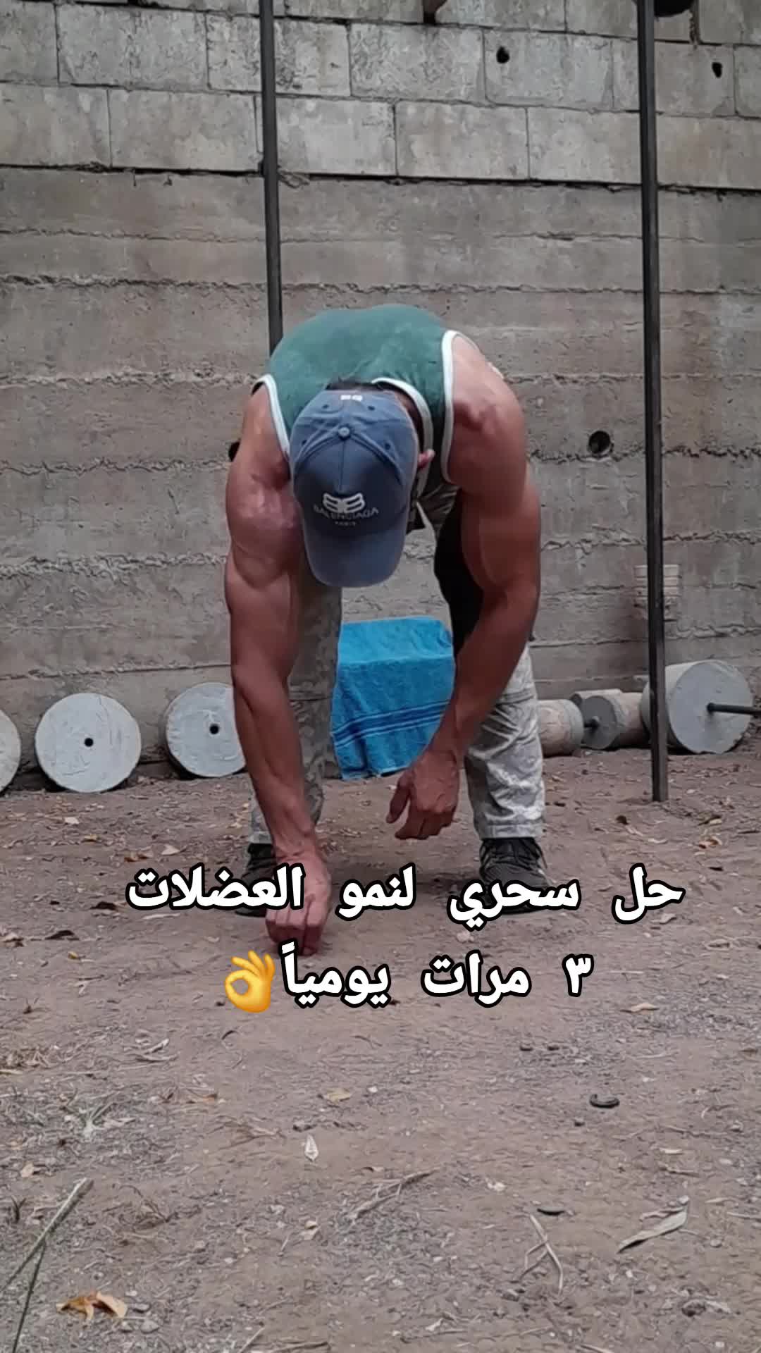 @عمرmerlaya2