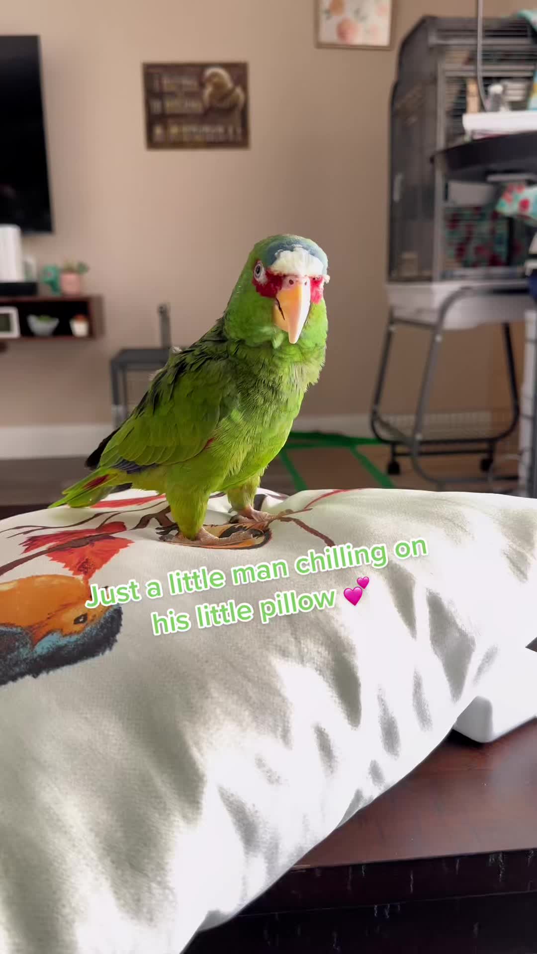 @Peeps