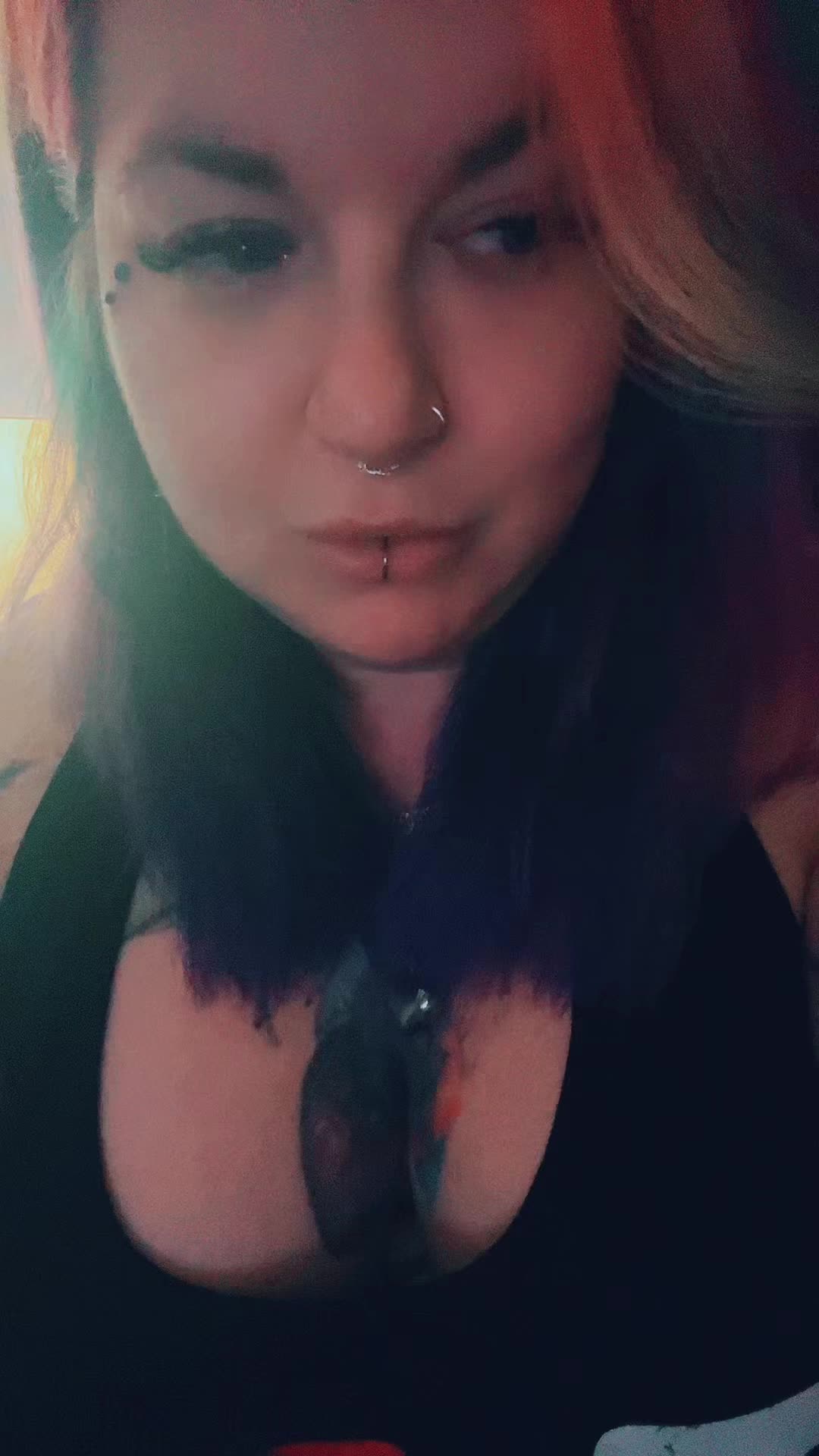 @Kitten