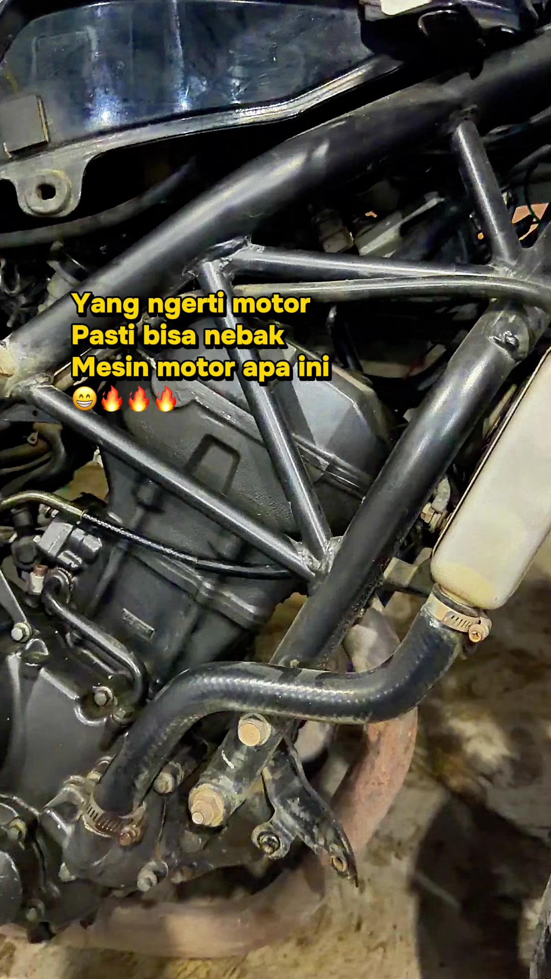 @pengepulmotortim
