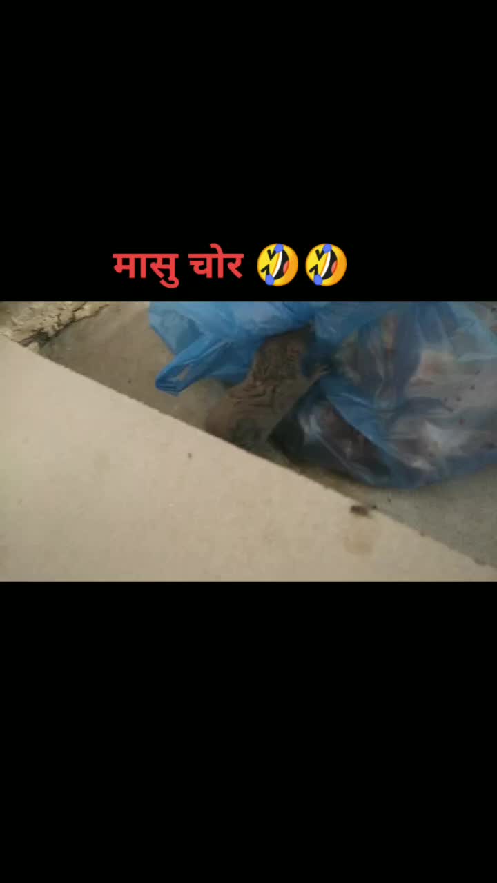@YouTube_sunilbarshingvlog