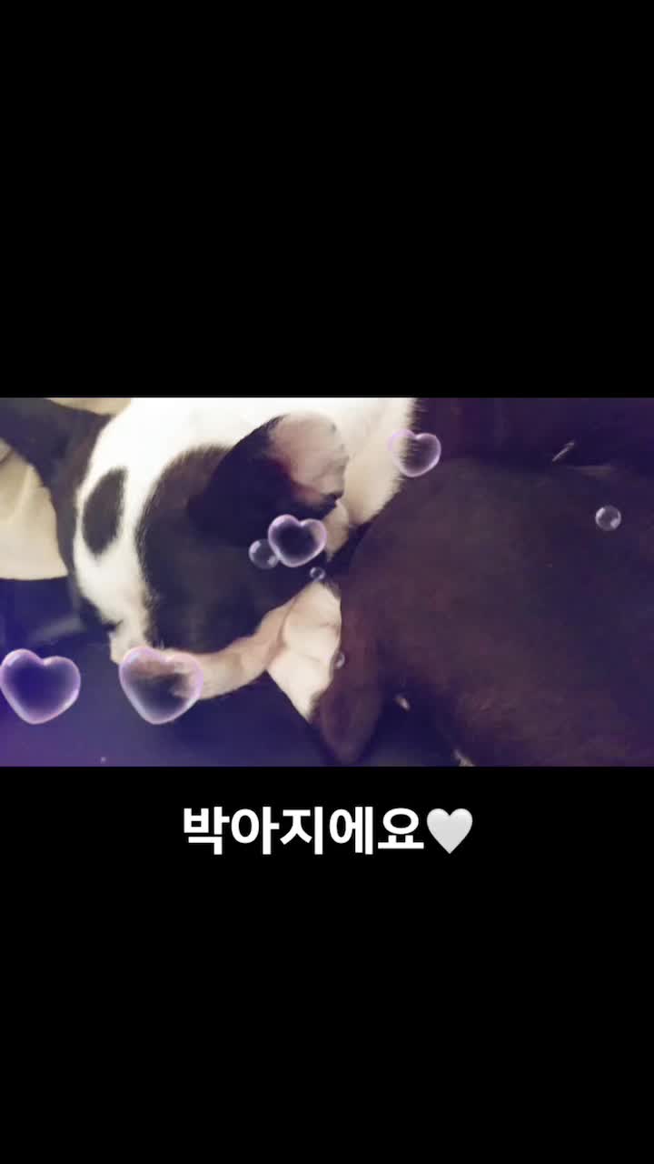 @c.yeonii