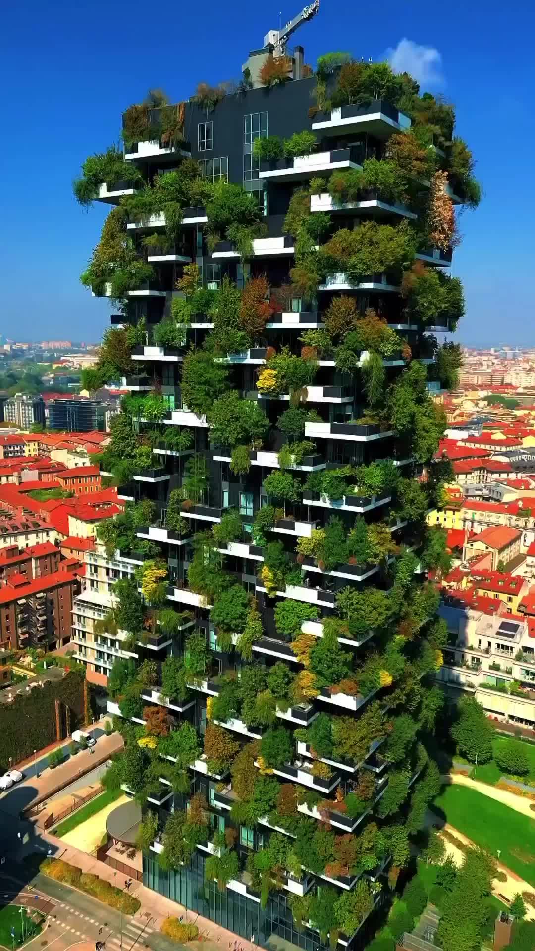@Well Architects