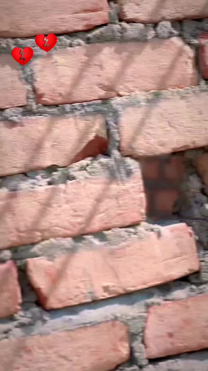 @user58937741085