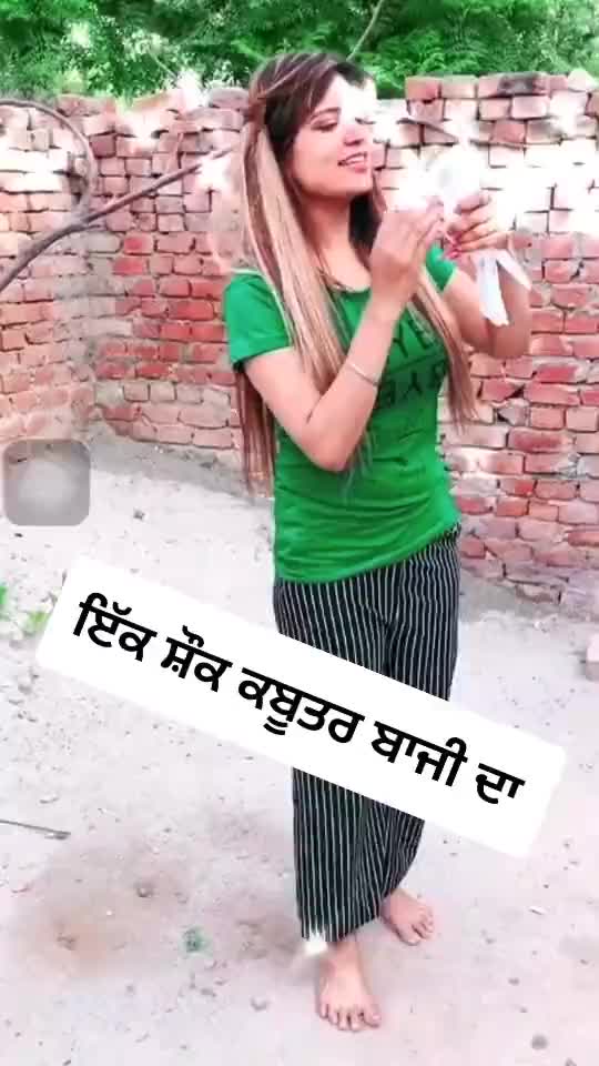 @user376385