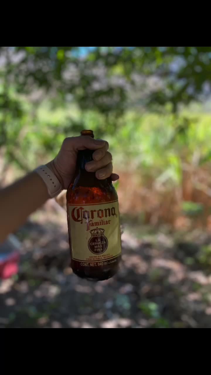 @Estefania Colazo