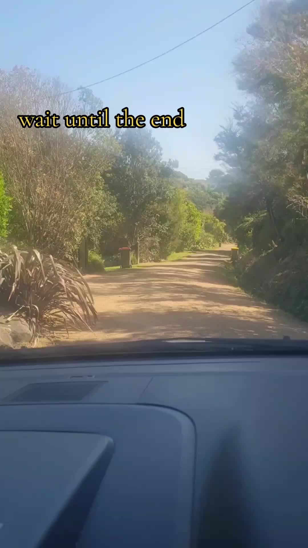 @Courier Driver in Paradise