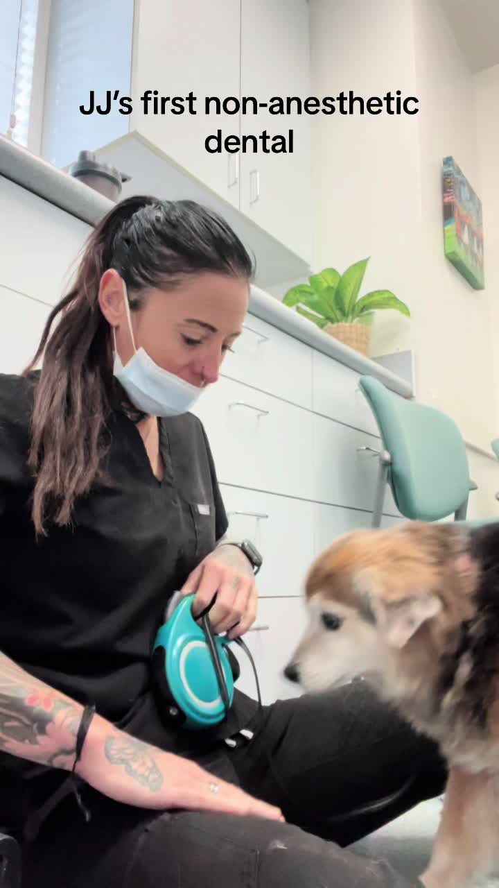 @Elite Pet Dental
