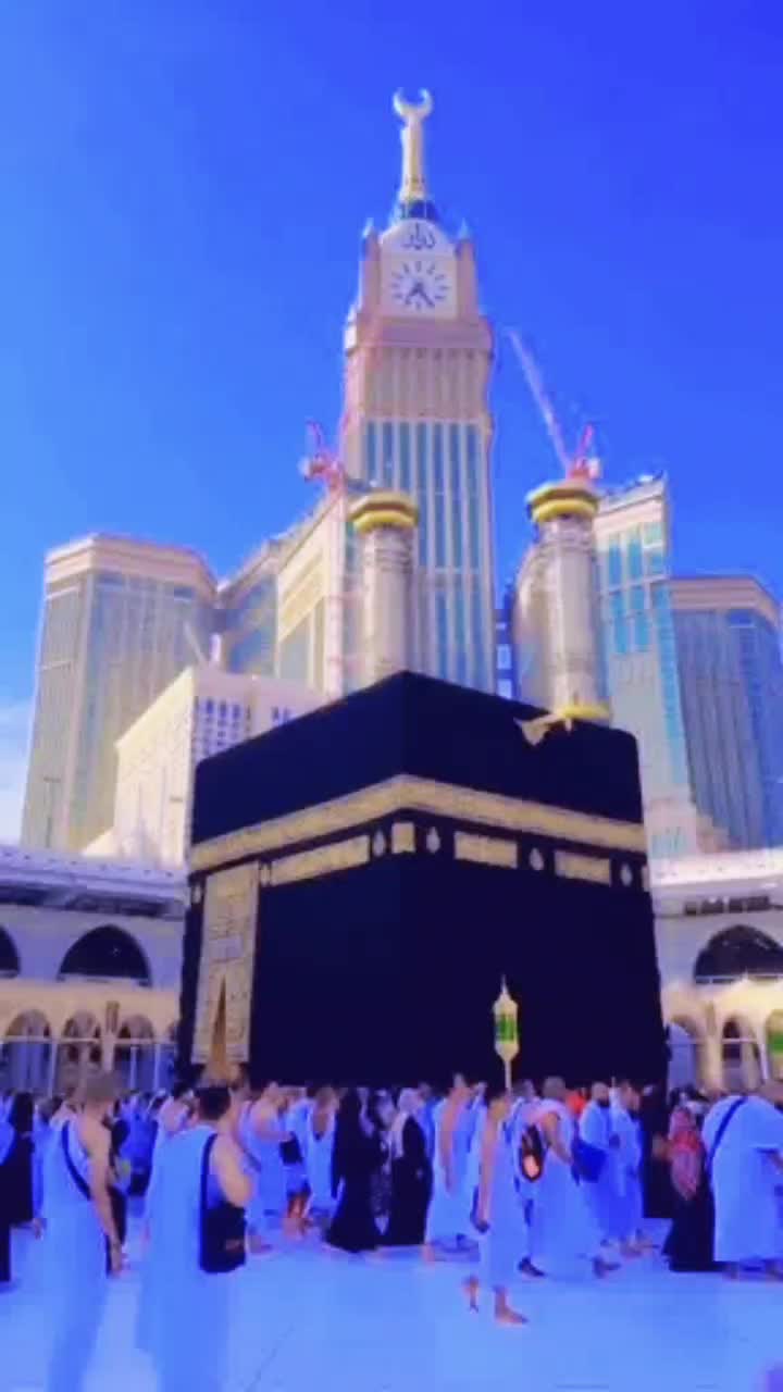 @salmanal105