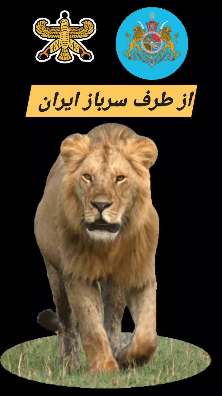 @ACshahram heidari