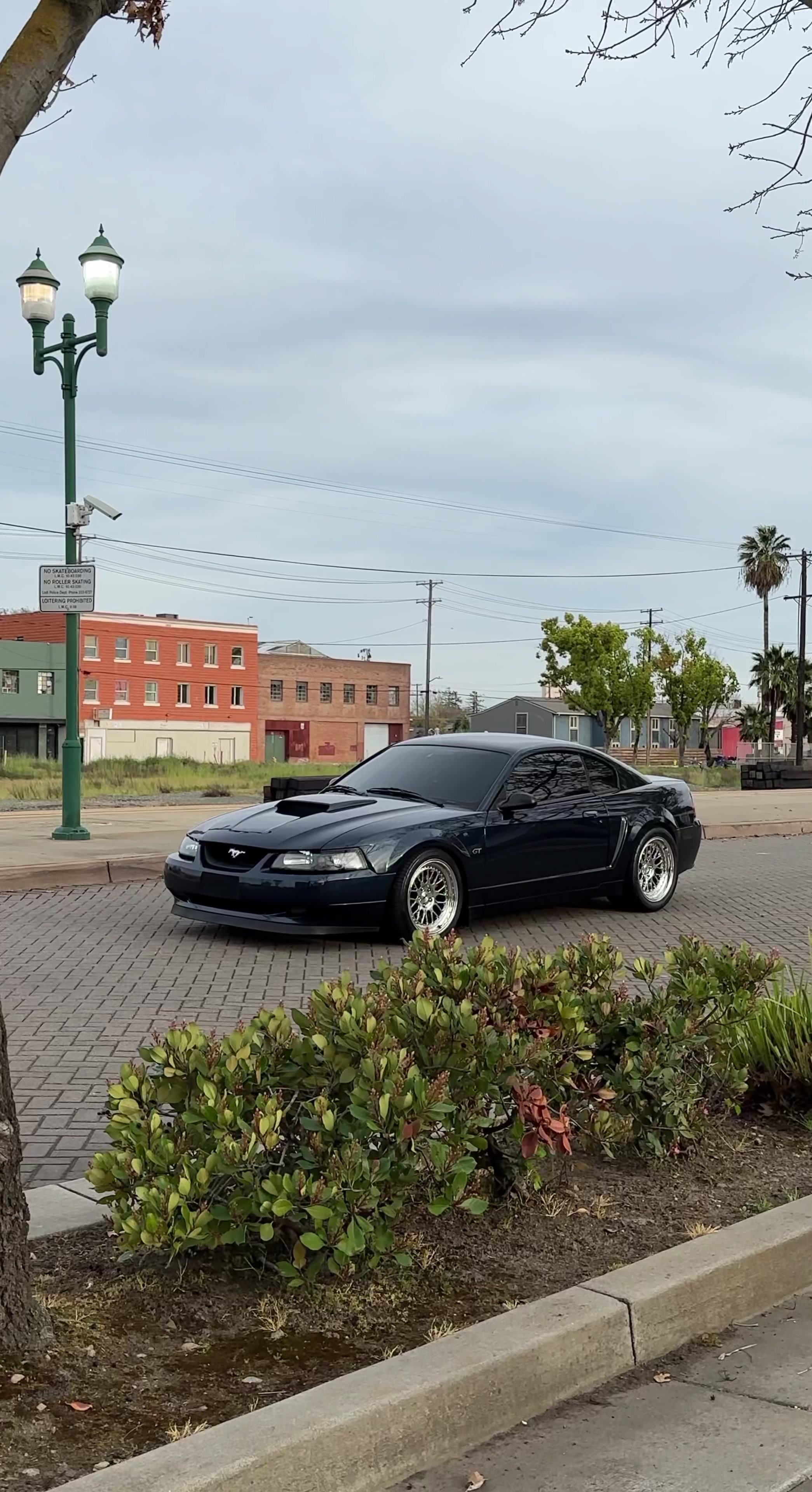 @209_cars